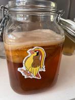 Kombucha scoby met starter, Ophalen