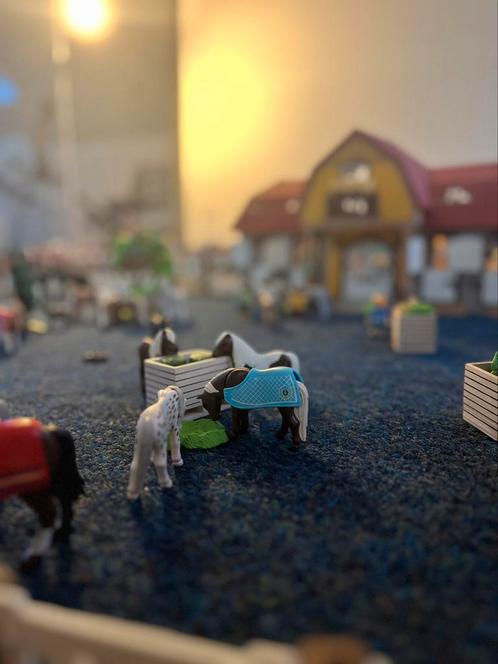 AFNEEMBAAR Grote playmobiel manege., Kinderen en Baby's, Speelgoed | Playmobil, Zo goed als nieuw, Los playmobil, Ophalen