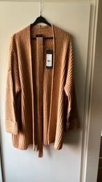 Yest. Terracotta openvallend vest. Maat 44. Nieuw!, Kleding | Dames, Overige kleuren, Maat 42/44 (L), Nieuw, Ophalen of Verzenden