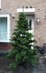 Kunstkerstboom 240 Kerstboom Kunstkerstboom, Ophalen
