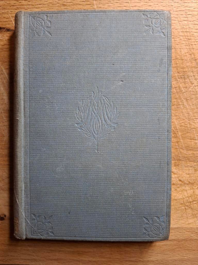 Oude editie van Misunderstood door Florence Montgomery, Ophalen of Verzenden, Gelezen