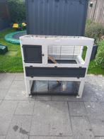 Ferplast konijnenhok, Dieren en Toebehoren, Knaagdieren en Konijnen | Hokken en Kooien, Ophalen, 110 cm of meer, Cavia, Zo goed als nieuw