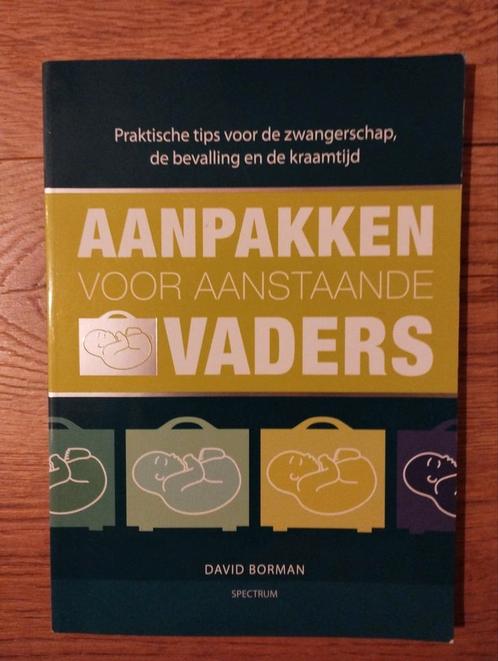 David Borman - Aanpakken voor aanstaande vaders, Boeken, Zwangerschap en Opvoeding, Zo goed als nieuw, Zwangerschap en Bevalling