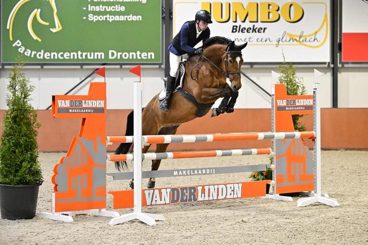 Instructie / training / zadelmak maken, Diensten en Vakmensen, Dieren | Paarden | Verzorging, Oppas en Les, Paardrijles of Ponykampen