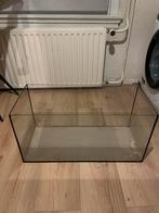 Glazen hamsterkooi/ terrarium, Dieren en Toebehoren, Knaagdieren en Konijnen | Hokken en Kooien, Ophalen, Zo goed als nieuw