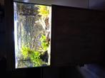 Aquarium met meubel, Vis