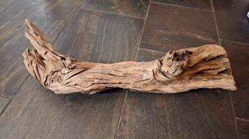 Groot stuk terrarium hout beschikbaar voor biedingen