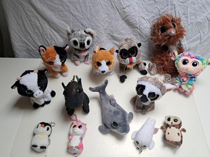 Verzameling TY knuffels (glitterogen), Kinderen en Baby's, Speelgoed | Knuffels en Pluche, Zo goed als nieuw, Overige typen, Ophalen of Verzenden