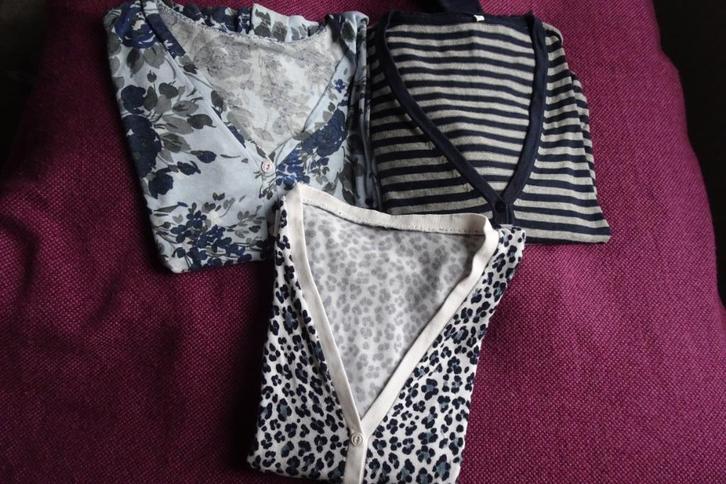 3 vestjes maat L, Kleding | Dames, Truien en Vesten, Zo goed als nieuw, Maat 42/44 (L), Overige kleuren, Ophalen