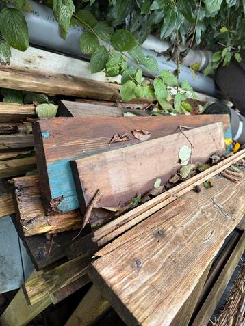 Hout: Planken, Latten - Diverse Soorten beschikbaar voor biedingen