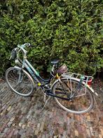 Giant Trooper Damesfiets - Comfortabel!, Ophalen, Gebruikt, Versnellingen, Giant