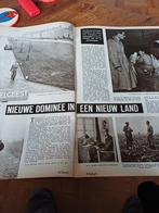 Artikel C. Brouwer eerste dominee Luttelgeest 1954, Verzamelen, Ophalen of Verzenden, 1940 tot 1960, Knipsel(s)