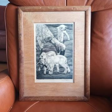 Dirk Homberg (1885-1952), litho, schaap met lammeren  beschikbaar voor biedingen