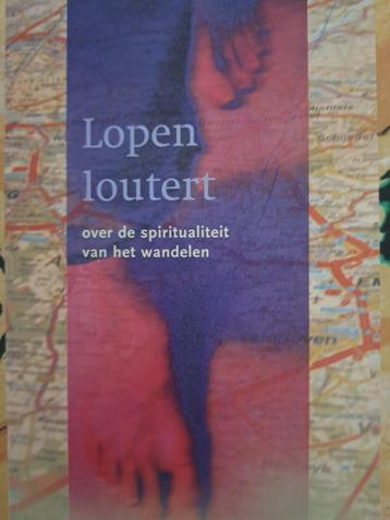 Lopen loutert - Michel Jourdan (2004) beschikbaar voor biedingen