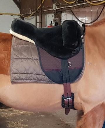 Werner Christ Premium Plus barebackpad maat paard NIEUW beschikbaar voor biedingen