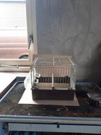 Mooiezang kooitje, Dieren en Toebehoren, Ophalen of Verzenden, Zo goed als nieuw, Overige materialen, Vogelkooi