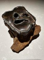 Wolharige Neushoorn fossiel kies in kaak, Verzamelen, Mineralen en Fossielen, Ophalen of Verzenden, Fossiel