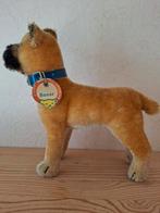 Boxer Steiff jaren 50, Verzamelen, Beren en Cherished Teddies, Ophalen of Verzenden, Zo goed als nieuw, Stoffen beer, Steiff