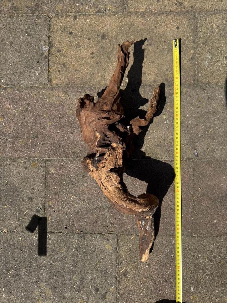 Mopani hout, Dieren en Toebehoren, Reptielen en Amfibieën | Toebehoren, Terrarium of Paludarium, Ophalen of Verzenden