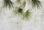 Palmbladeren behang Groene Waaierpalm OOK OP MAAT, Huis en Inrichting, Stoffering | Behang, Verzenden, Minder dan 10 m², Botanisch, natuur, jungle, landelijk,