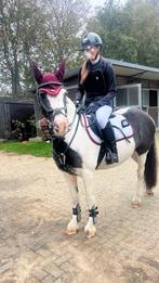 Goud eerlijke grote C allround pony met veel potentie, Dressuurpony, 7 tot 10 jaar, Merrie, Gechipt