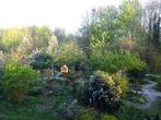 Tuinhulp voedselbos stadstuin Het Verre Oosten in Dieze-oost