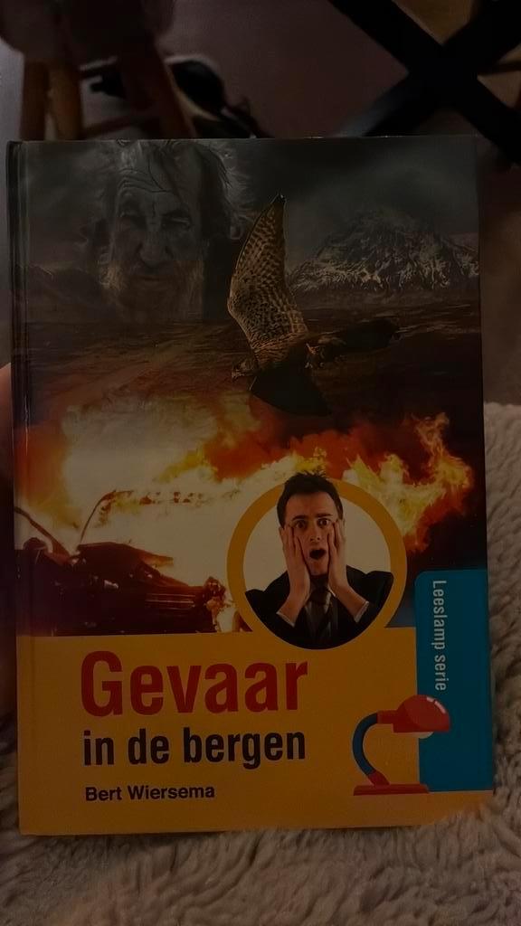 Bert Wiersema - Gevaar in de bergen, Boeken, Kinderboeken | Jeugd | onder 10 jaar, Zo goed als nieuw, Fictie algemeen, Ophalen of Verzenden