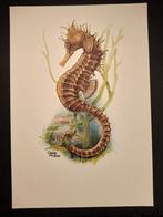 Zeepaardje, Verzenden, 1980 tot heden, Zo goed als nieuw, Dier