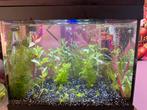 Superfish Aquarium, Ophalen, Leeg aquarium
