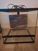 Terranium, Dieren en Toebehoren, Reptielen en Amfibieën | Toebehoren, Ophalen, Zo goed als nieuw, Terrarium of Paludarium