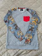 Sweater/ Trui The Future Is Ours jongens  maat 16/176, Ophalen of Verzenden, Zo goed als nieuw, Grijs, The Future Is Ours