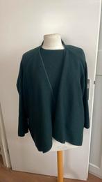 Backstage wollen twinset, Kleding | Dames, Ophalen of Verzenden, Zo goed als nieuw, Groen