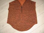 Leuke nieuwe lange body flirt shirt €9.00 Maat 44 46.., Kleding | Dames, Blouses en Tunieken, Ophalen of Verzenden, Nieuw, Maat 42/44 (L)