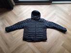 Bogner skijas maat 56, Blauw, Maat 56/58 (XL), Ophalen of Verzenden, Zo goed als nieuw