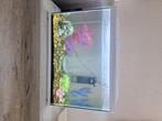 Aqarium met toebehoren, Dieren en Toebehoren, Vissen | Aquaria en Toebehoren, Ophalen, Zo goed als nieuw, Leeg aquarium