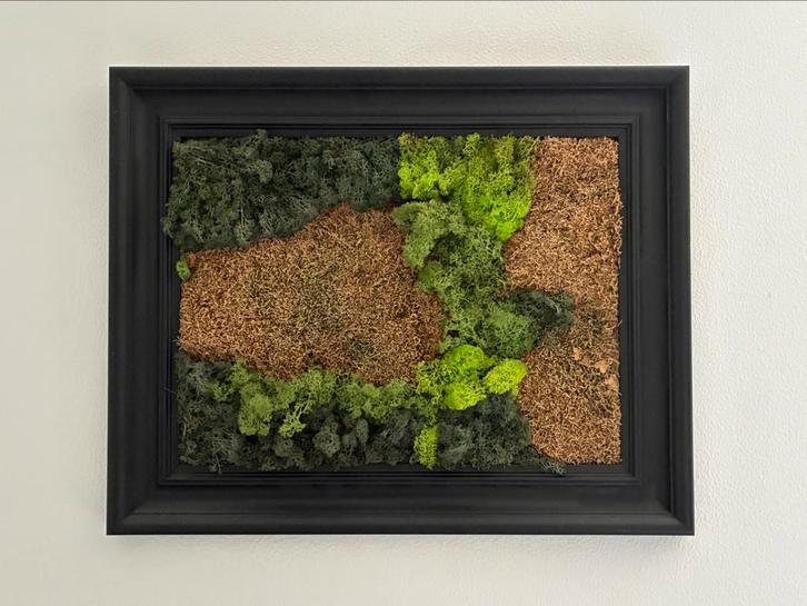 Mos schilderij met mooie zwarte lijst, Huis en Inrichting, Woonaccessoires | Wanddecoraties, Zo goed als nieuw, Ophalen
