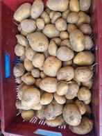 Biologische geteelde aardappelen frieslanders, Diversen, Levensmiddelen, Ophalen