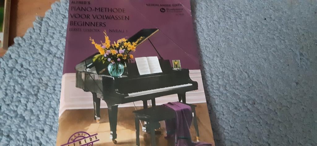 Alfred's Basic pianomethode voor volwassen beginners dl 1, Muziek en Instrumenten, Bladmuziek, Ophalen of Verzenden, Les of Cursus