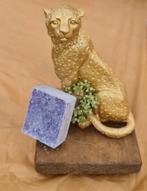 Paarse Zeepblok, Ophalen, Nieuw