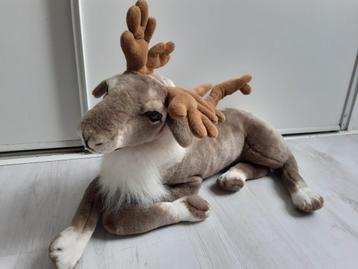 Rendier beschikbaar voor biedingen