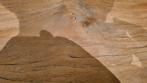 Teak hout blad zwart staal poten, Ophalen, Teakhout, Nieuw, 50 tot 100 cm