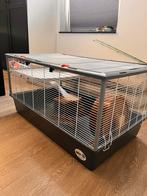 Grote hamster en/of cavia kooi  met alles erin l95*b58*h48, Dieren en Toebehoren, Kooi, Zo goed als nieuw, Hamster, 75 tot 110 cm