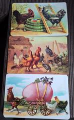 5 placemats kip en haan / pasen, Ophalen of Verzenden