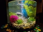 Biorb aquarium, Dieren en Toebehoren, Ophalen of Verzenden, Zo goed als nieuw, Leeg aquarium