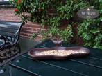 Vogel badje tuin vogel gietijzer voeder bakje bad landelijk, Verzenden, Nieuw