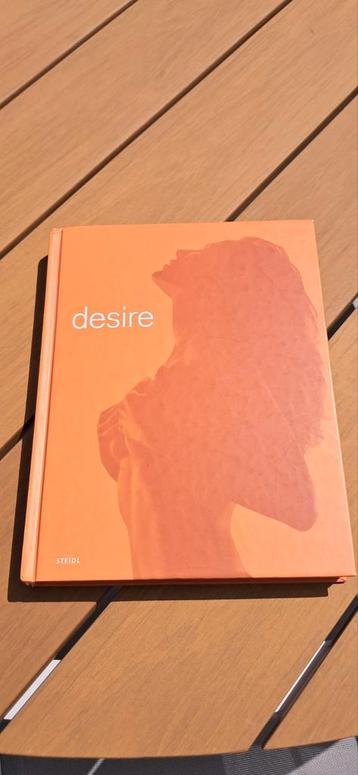 Erotisch boek Desire van Patrick Remy beschikbaar voor biedingen