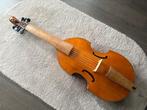 7-snarige bas viola da gamba, Ophalen of Verzenden, Nieuw, 4/4-cello