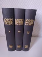 Institutie  Johannes Calvijn    Dr.A. Sizoo, Ophalen of Verzenden, Gelezen, Christendom | Katholiek