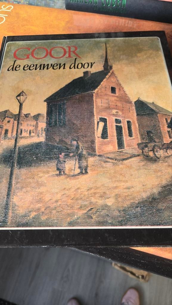 Boek Goor de eeuwen door, Boeken, Geschiedenis | Stad en Regio, Ophalen of Verzenden