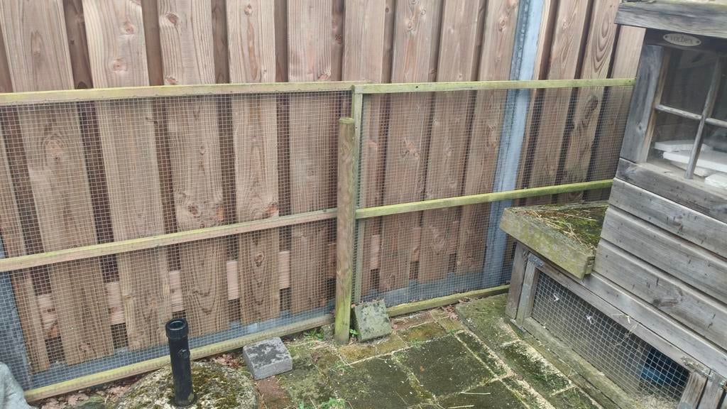 Dieren ren delen 5 stuks, Ophalen, Eekhoorn, 90 cm of meer, Ren